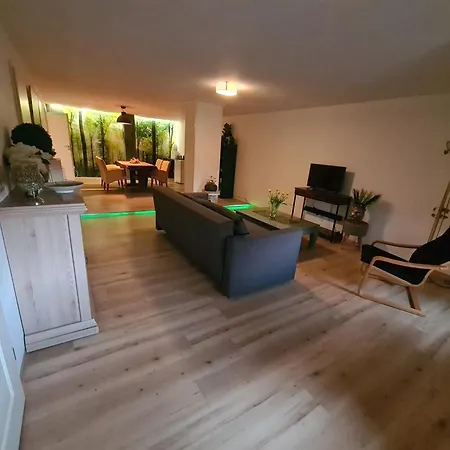 Dolly Apartment
